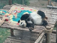 -大连森林动物园