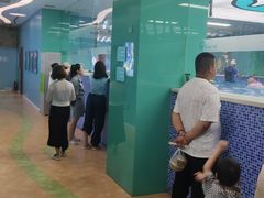 -Swim斯卫姆国际儿童游泳中心(红博中央公园店)