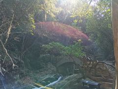 -江西阳明山国家森林公园