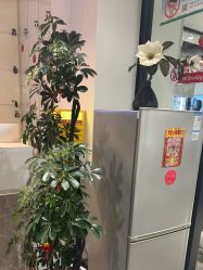 -LJOY丽锦造型·烫发染发