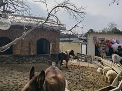 -HERRE·FARM 赫尔露营农场·团建聚会包场