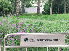 -深圳湾公园(南山区)