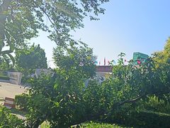 -唐山市丰润区第二中学