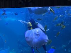 -左海海底世界