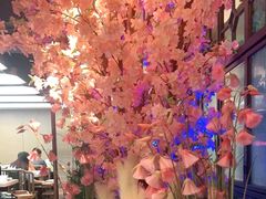 -野妹火锅(龙岗店)