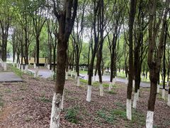 -云碧峰国家森林公园
