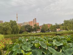 -西海子公园