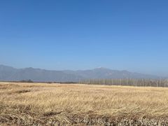 -野鸭湖国家湿地公园