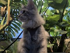 -J Create城市露营咖啡·简餐·宠物(上海动物园店)