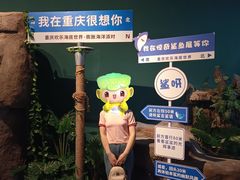 -重庆欢乐海底世界