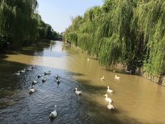 -百万葵园