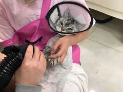 -多卡布奇宠物生活馆(上林世家店)