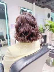 -Will+ Hair Studio