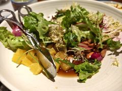 -真地道京味府·鲜橙烤鸭·北京菜(朝外大街东大桥店)