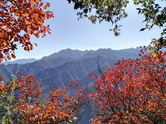 -秦岭风景区