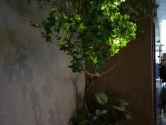 -唐宫足道·SPA·住宿24H会所(木渎店)