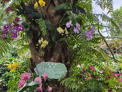 -海南热带野生动植物园