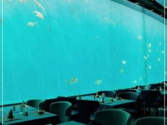 -瑞德姆美人鱼海底演艺主题餐厅(亚龙湾店)