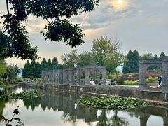 -庾园
