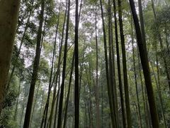 -凤栖山