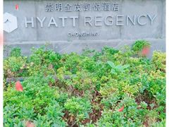 -上海崇明金茂凯悦酒店