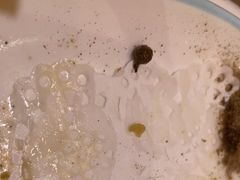 -佶政筋饼·新概念(安阳路店)