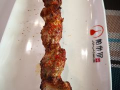 新疆红柳羊肉串-帕米尔食府(白云观店)