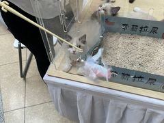 -仲盛世界商城