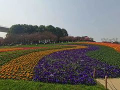 -白鹭湾湿地公园