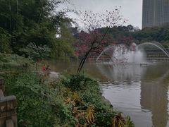 -龙头寺公园