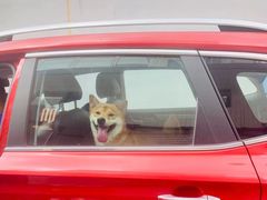 -惠州金海湾嘉华度假酒店