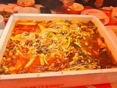 -闻溪有渔·活鱼现烤才好吃(太仓万达店)