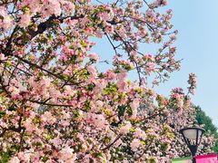 -元大都城垣遗址公园