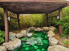 -台山颐和温泉城