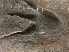 -湖南省地质博物馆