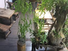 -自然餐厅(Phuket)