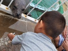 -北戴河圣蓝海洋公园