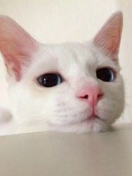 -榕树上·瑜伽普拉提