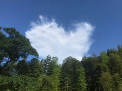 -水墨汀溪风景区
