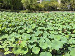 -杭州师范大学(下沙校区)