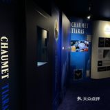 沉浸式看展|欲戴皇冠👑必承其重