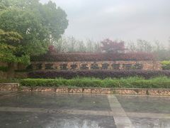 -帐篷客·溪龙茶谷度假酒店