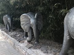 -呀路古热带植物园-恐龙馆