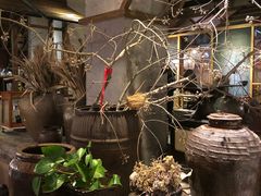 -几荷·恰似故人来(秀水广场店)