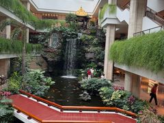 -白天鹅宾馆-宏图府餐厅