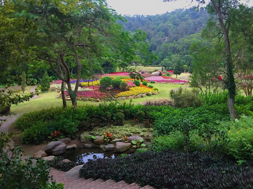 廈門必去園林植物園的必走路線你知道嗎?