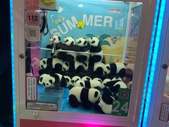 -大鲁阁保龄球(苏州园区店)