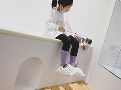 -COLOR PETS 撸猫馆·购猫·猫咖(长风大悦城店)