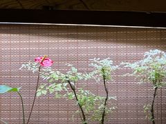 -望京一号·重庆江湖菜(工体店)
