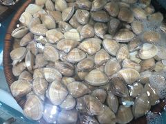 -港畔赶海蒸汽海鲜烧烤自助(仙螺岛店)